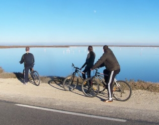  Pbaños en BTT por la Camarga 